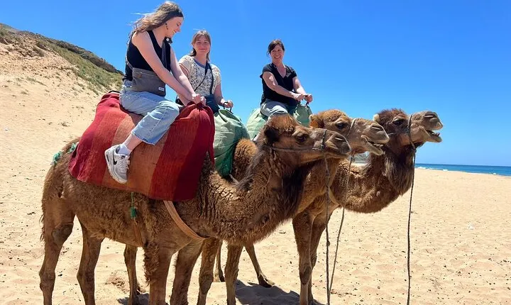 Full Day Private Tangier Tour From Tarifa All Inclusive