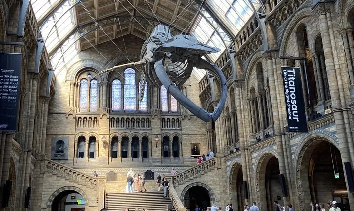 Natural History Museum Self-guided Tour for Kids in English