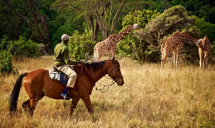 Private Day Trip to Lake Duluti – Paddle and Ride in Nature