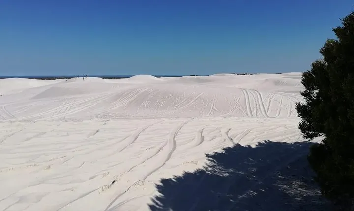 Guided hiking and environmental education: Atlantis Sand Dunes