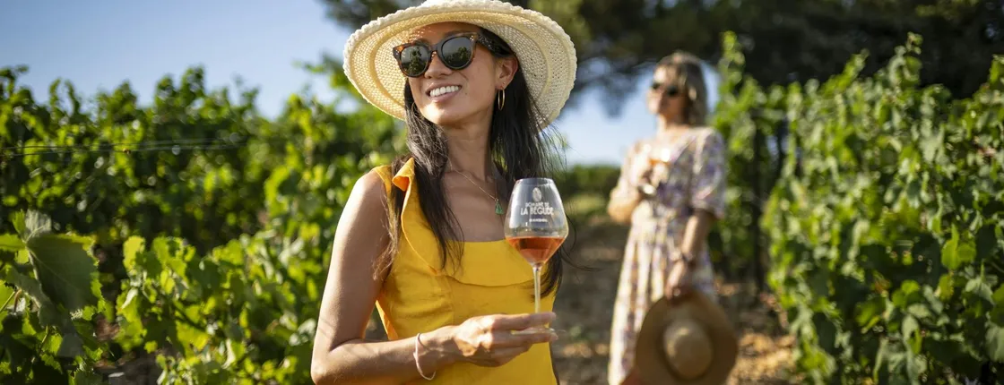 Small-group wine tour of Provence from Nice