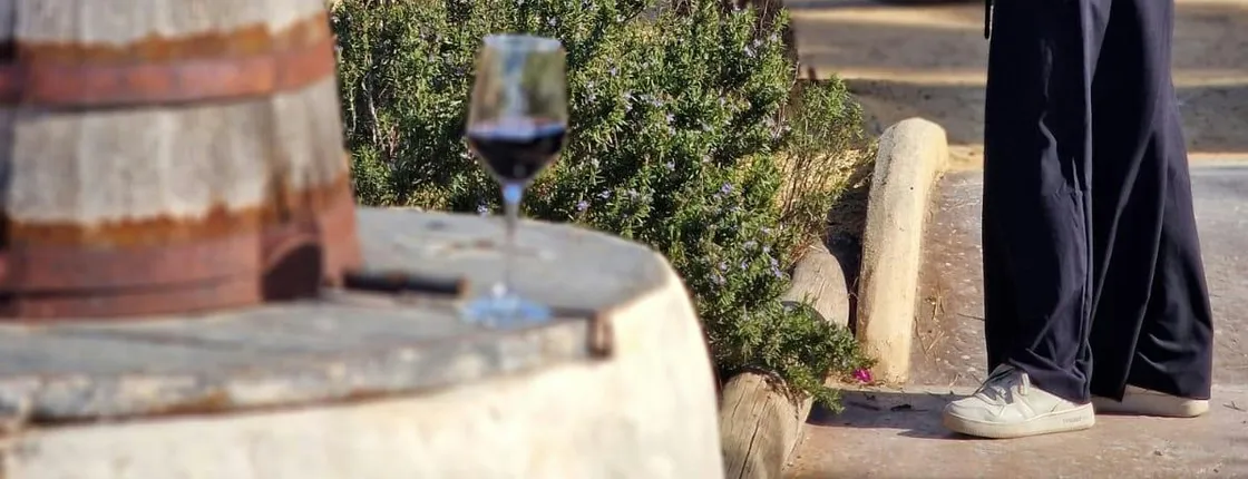 Wine tasting and tapas guided tour from Alicante