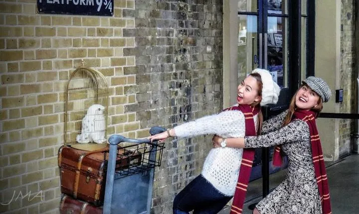 Harry Potter London Sights and Film Locations - Private Tour