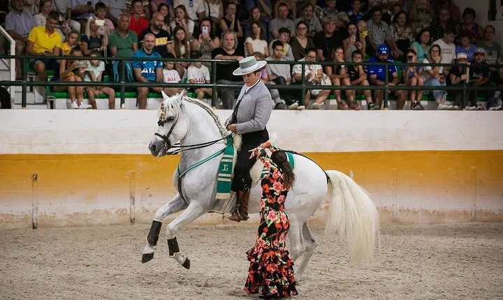 Andalusian Horses and Flamenco show with transportation