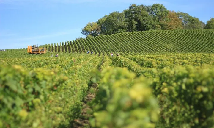 Full Rioja Wine Tour with Lunch from Bilbao Private Tour