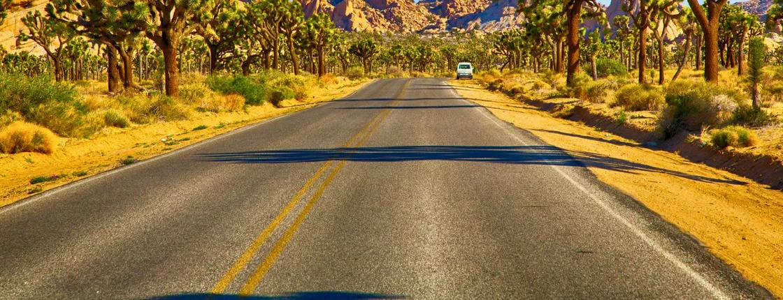 Audio-Guided Driving of the Joshua Tree National Park