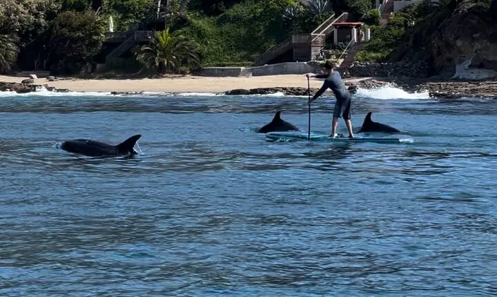 Laguna Beach Stand Up Paddle Activity