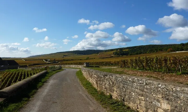 Private Full Day Tour Burgundy Gourmet