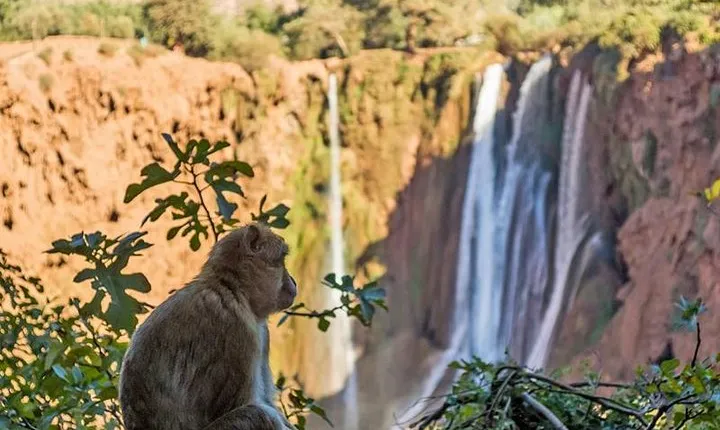 One Day Trip From Marrakech To Ouzoud Waterfalls And Berber Villages