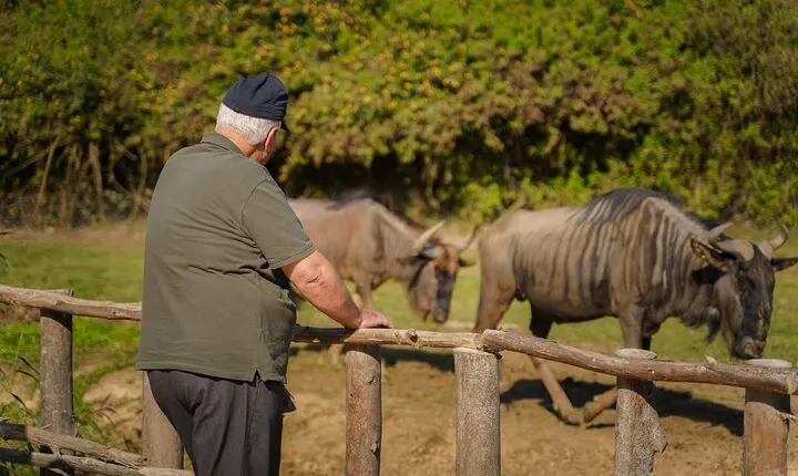 Explore Africa Park Safari Family Friendly Nature Tour
