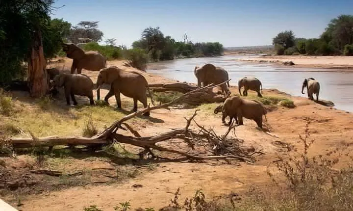 Tarangire National Park Day Trip