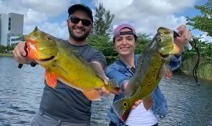 Half-Day Private Fishing Experience in Miami