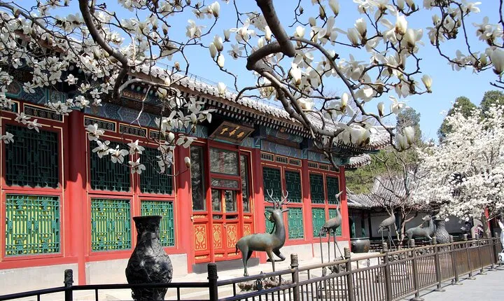 Private Walking Day Tour: Summer Palace, Heaven Temple & Hutong