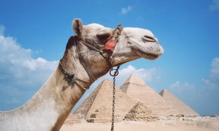 Private Tour: Giza Pyramids, Sphinx, Memphis, Sakkara