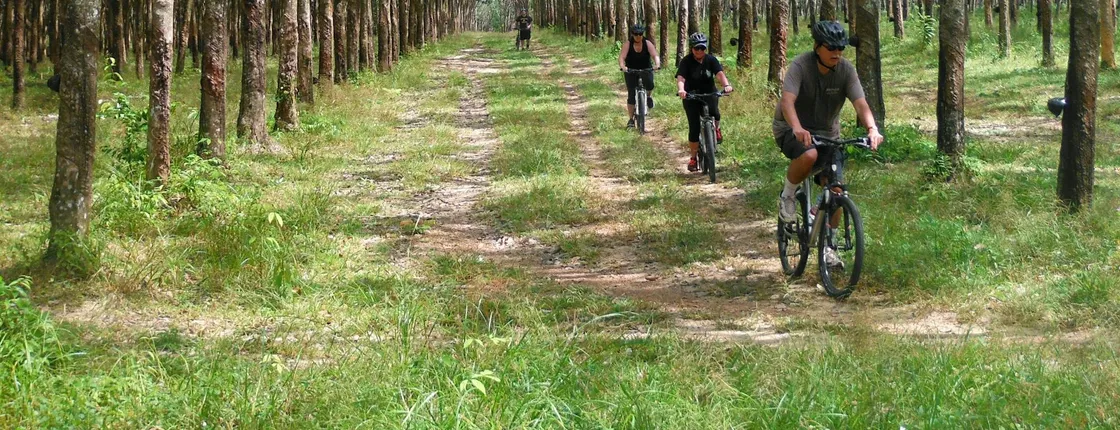 Half day countryside cycling from Phuket