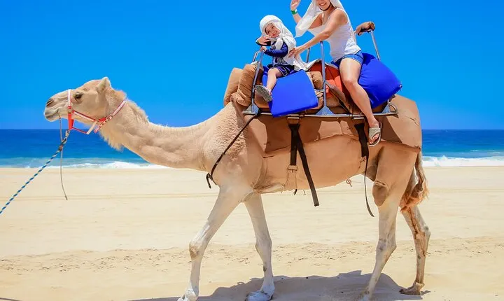 Outback Camel Ride