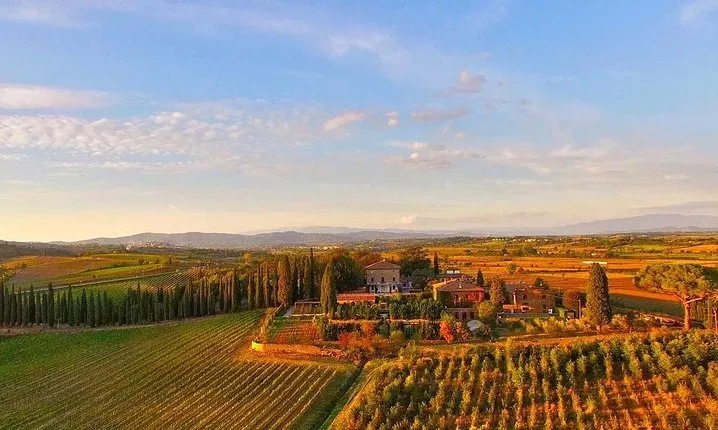 Arezzo: Wine Tasting Experience in Valdichiana area