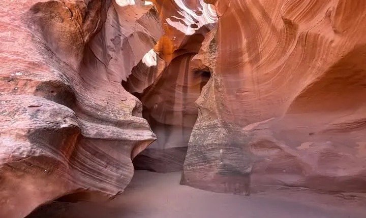 Mountain Sheep Canyon & Horseshoe Bend Tours - Arizona Tours