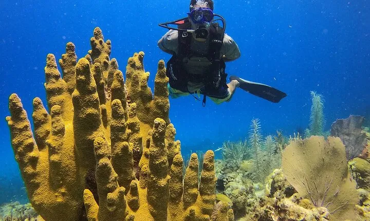Diving experience in San Andres