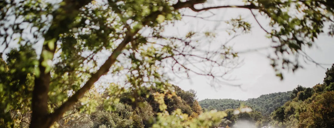 Krka waterfalls tour with transfer and brunch