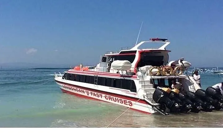 West Nusa Penida Full-Day Private Tour