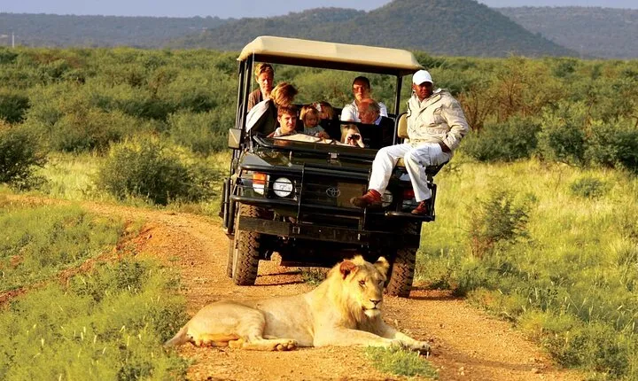 Full day KwaZulu Hluhluwe Imfolozi and ISimangaliso Wetland Tour
