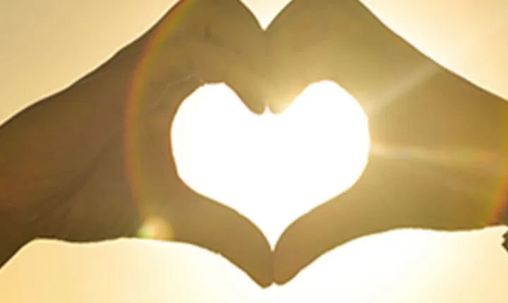 Private Miami Boat Tour to Biscayne Bay and Millionaire’s Row