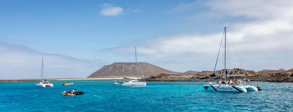 Adults only half-day Tenerife Freebird whale & dolphin catamaran