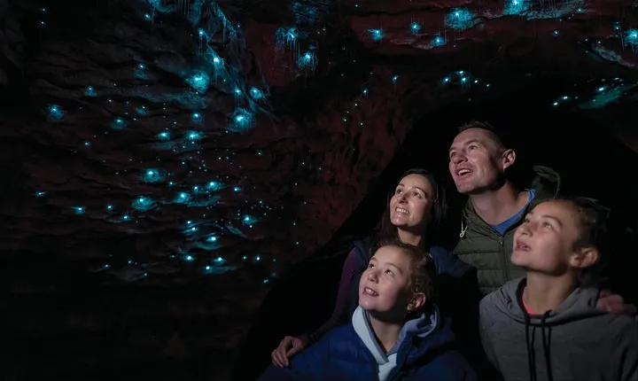 Te Anau Glow Worm Caves Tour