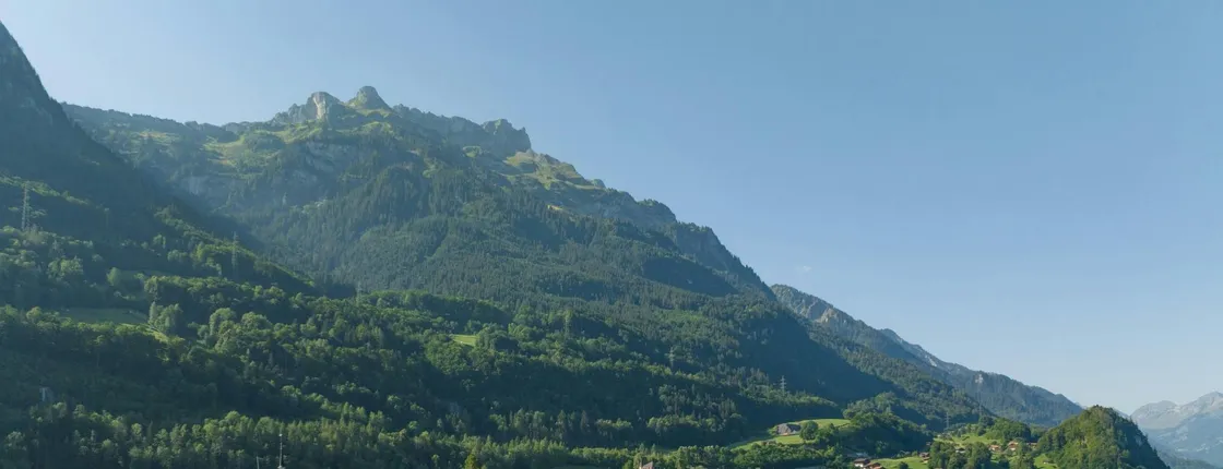 Day ticket for unlimited boat rides on Lake Brienz