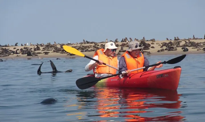 Pelican Point Kayaking Half-Day Tour