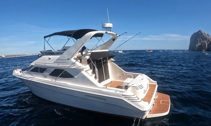 PRIVATE Whale Watching Tour and Snorkeling Tour Cabo San Lucas