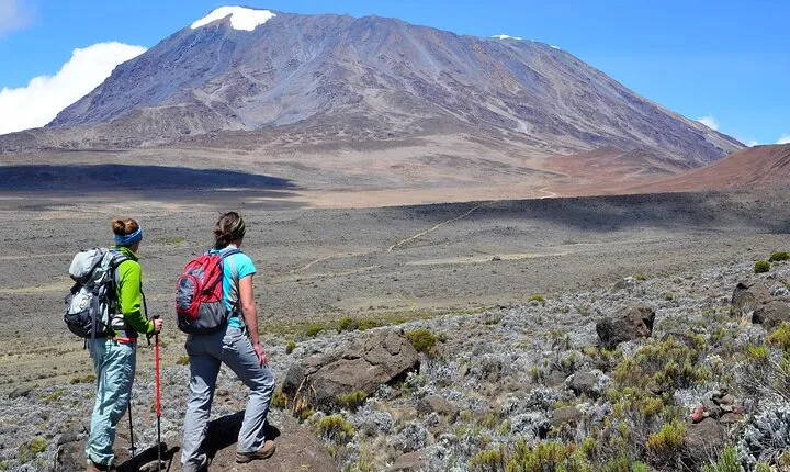 Private 1 Day Hike in Kilimanjaro Mountain