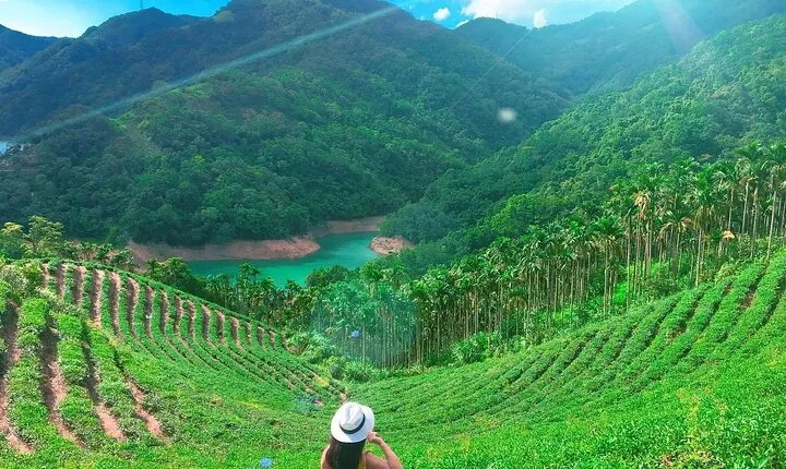 Shiding Tea Township Half-Day Tour from Taipei