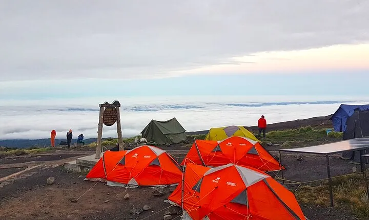 Kilimanjaro Climbing Tours via Northern Circuit- 10 Days