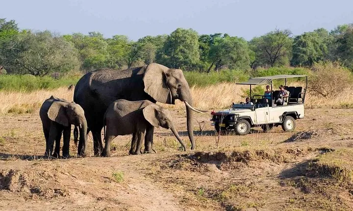 Zambezi National Park AM or PM Game Drive