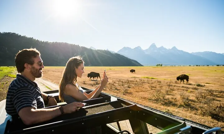 Sunset 4-Hour Grand Teton Wildlife Adventure