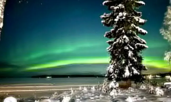 Northern Lights Tour Snowmobile Driving