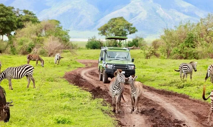 3 Days Safari to Tarangire Ngorongoro and Lake Manyara