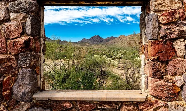 When Nature Calls - Exploring the Sonoran Desert