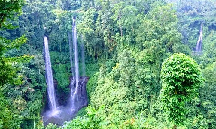 Private Tour Explore Marvelous Sekumpul Waterfall