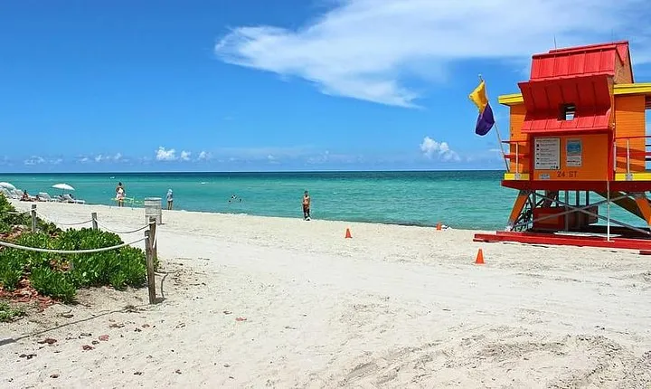 Private 4-hours City Tour of Miami from Miami Airport with private driver/guide