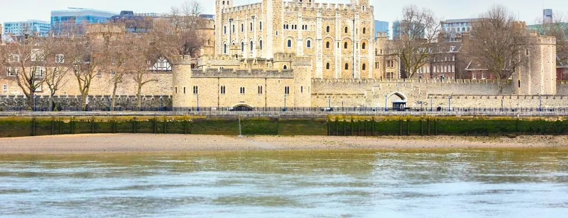 Windsor Castle and optional Tower of London tour with entry tickets