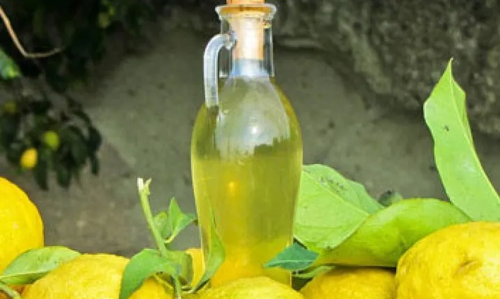 Oil plus Limoncello Tasting and Wine tour