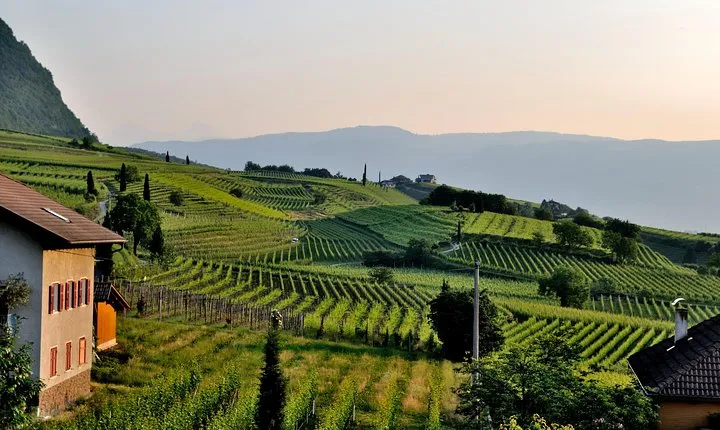 Tuscany Wine Tour from Rome with Private Driver