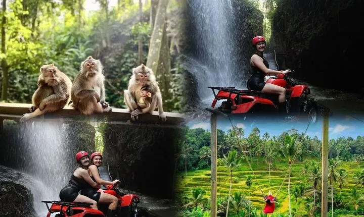 Waterfall ATV Ride and Ubud Tour