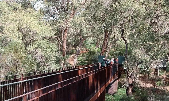 Kings Park Botanicals And Beyond