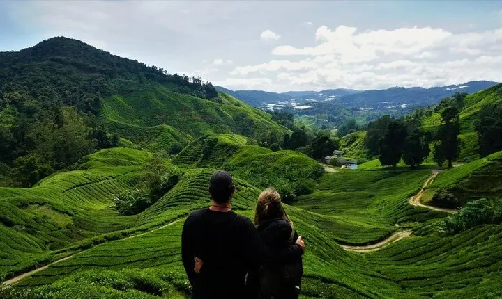 Cameron Highlands Tour from Kuala Lumpur