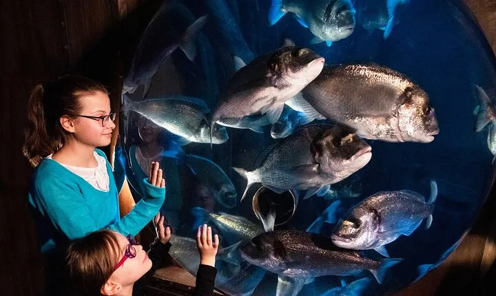 SEA LIFE Speyer Admission Ticket