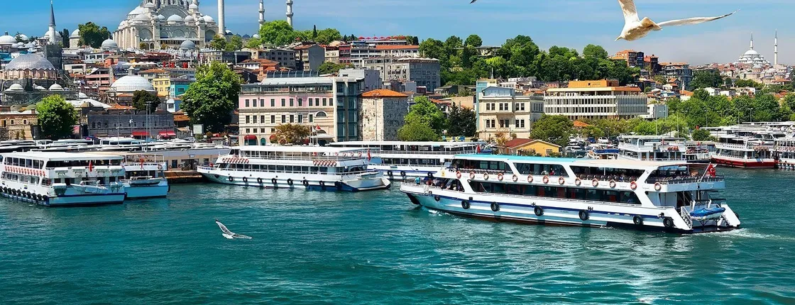 Istanbul combo tour of old city and Bosphorus cruise